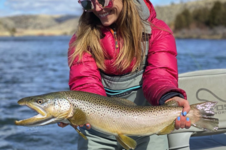fly fishing in montana for huge brown trout
